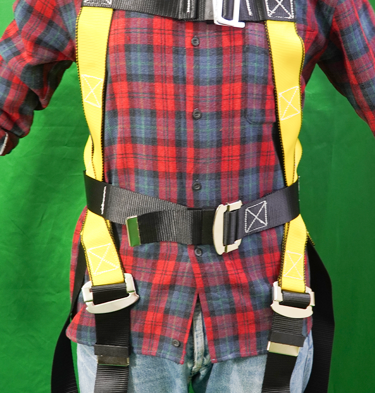 Body Harness